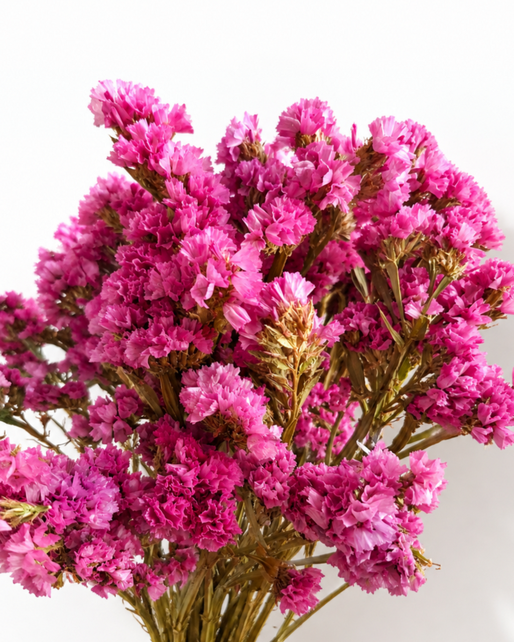 Naturally air-dried bright pink Statice flower stems, 45-50cm height, 100g wholesale bundle for floral arrangements.
