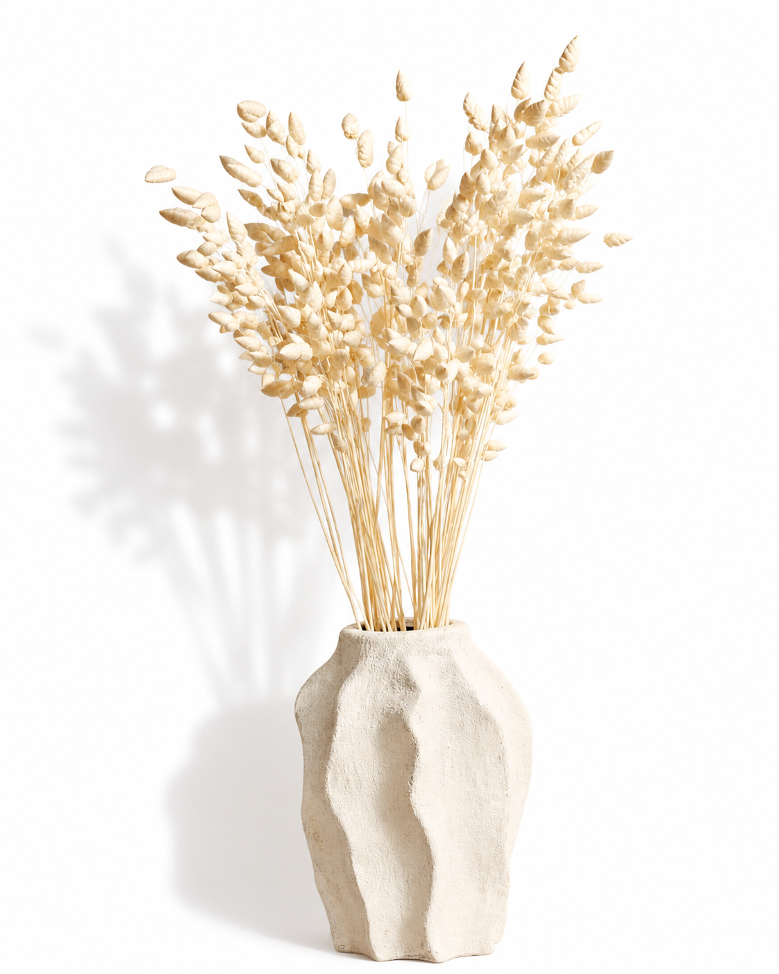 Wholesale bulk dried white ornamental grass stems for professional event florists and designers Europe