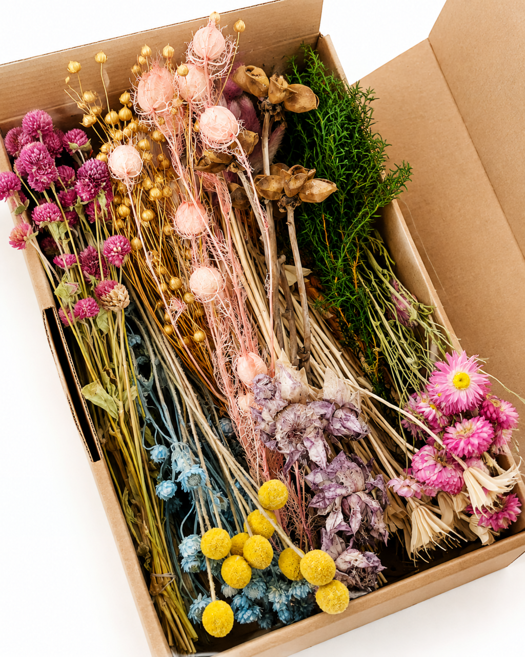 Pastel Dried Flower Box for Crafts