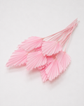 Dried Palm spear Light pink