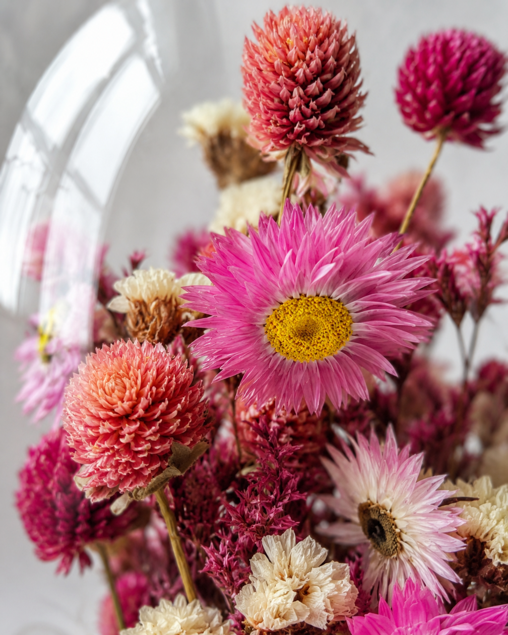 Pink Botanical Glass Dome