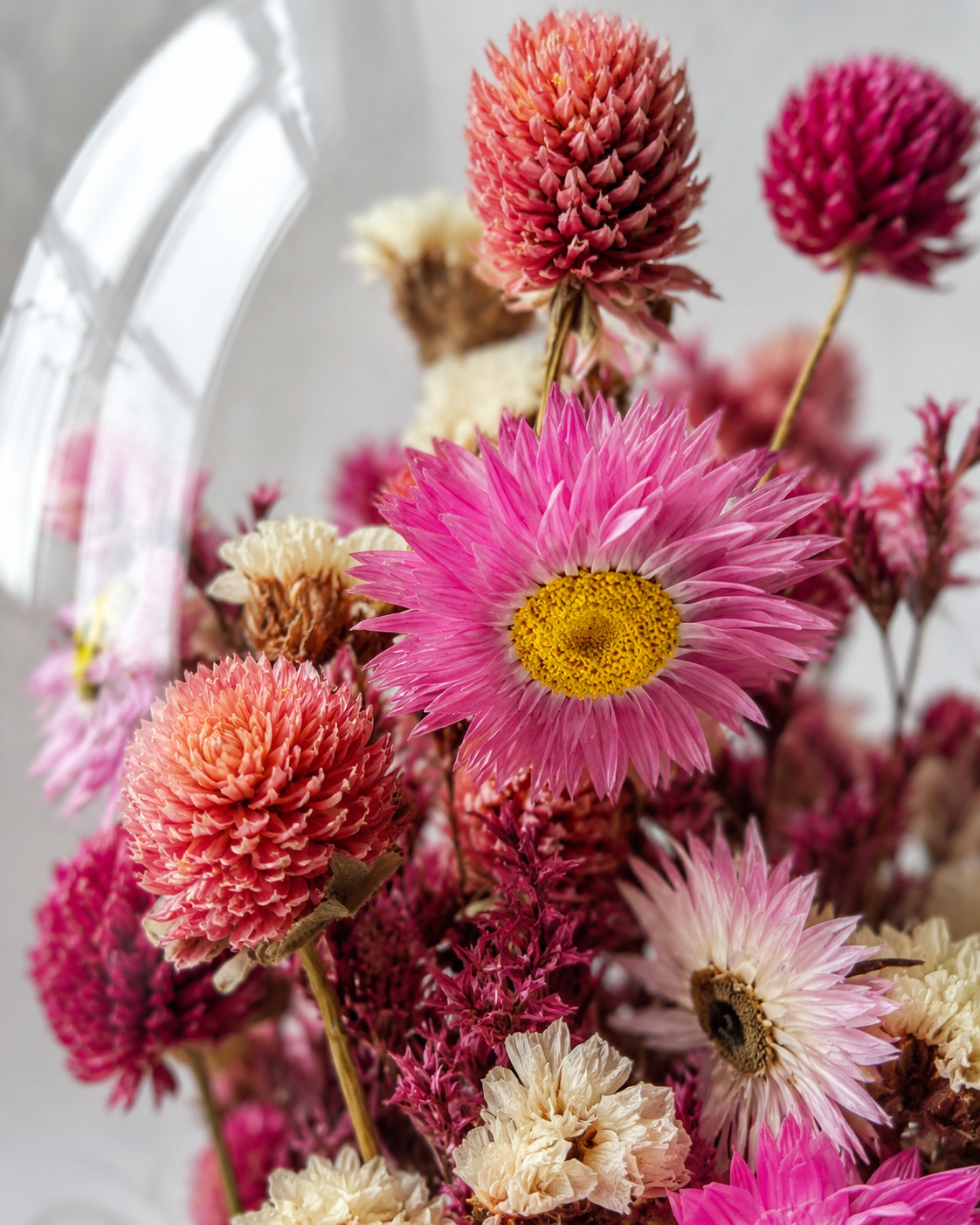 Pink Botanical Glass Dome