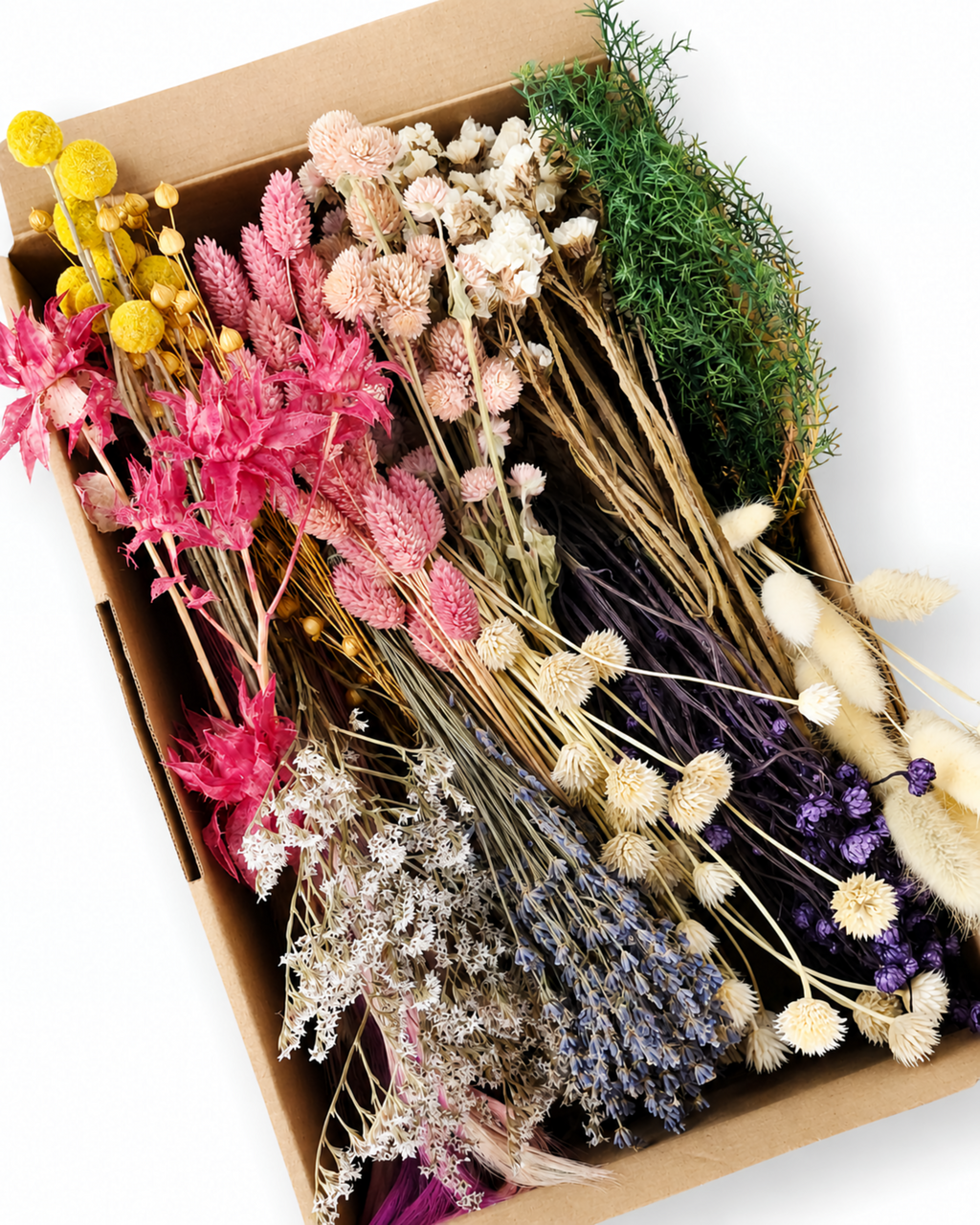 Pastel Dried Flower Box for Crafts