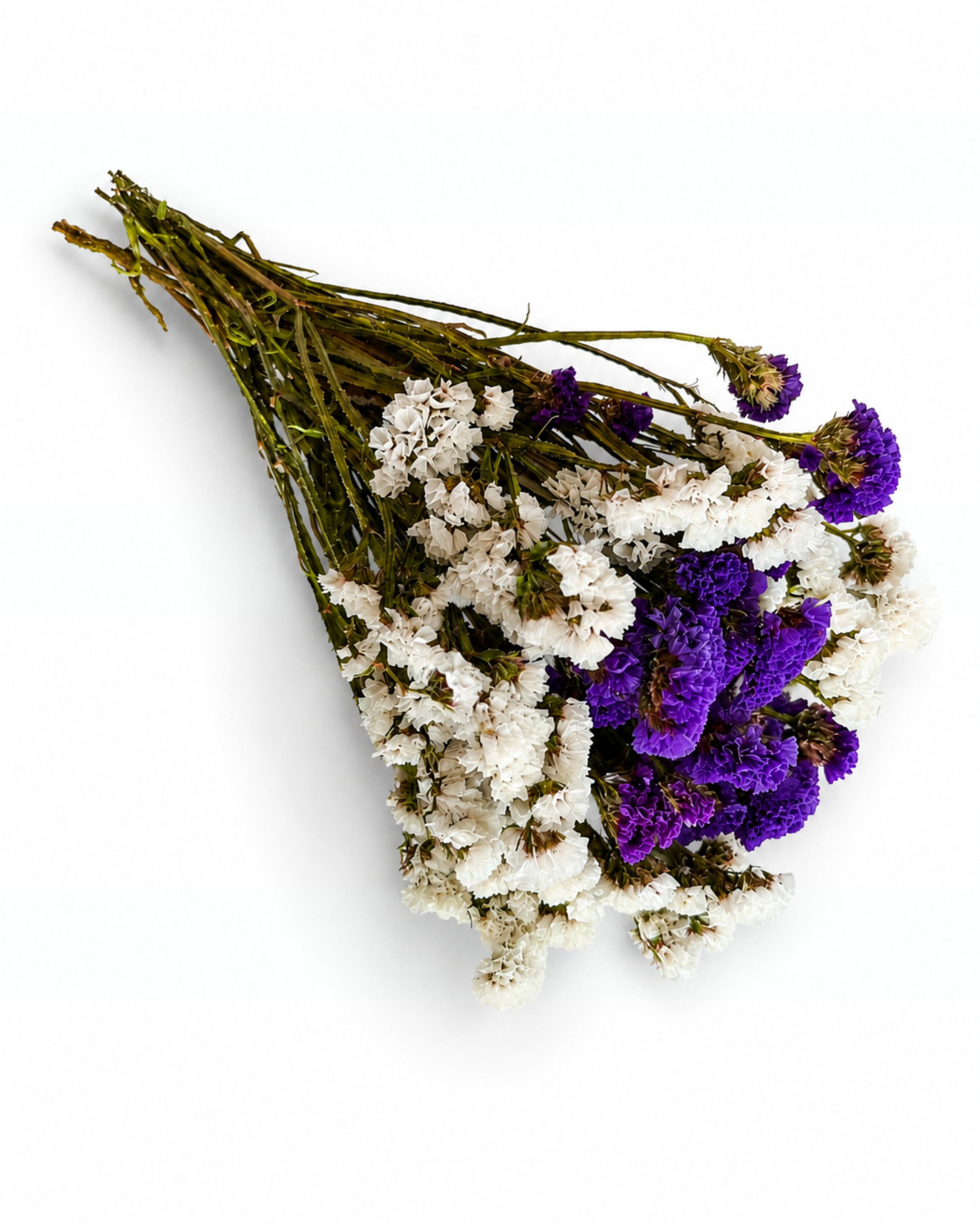 Premium dried purple and white statice mixed bunch 100g for professional florist decor