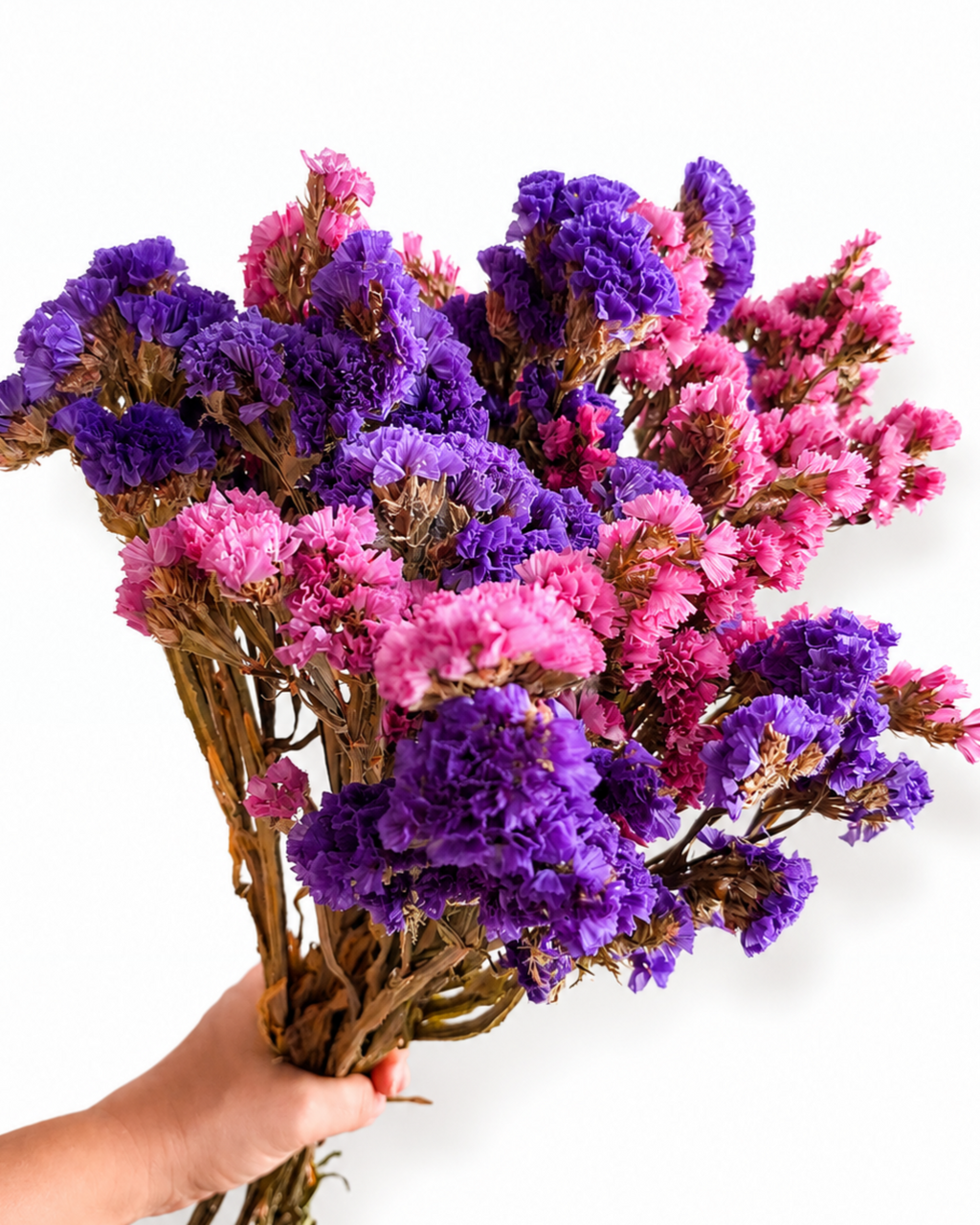Wholesale bulk dried flowers mixed limonium stems safely packed for European studios