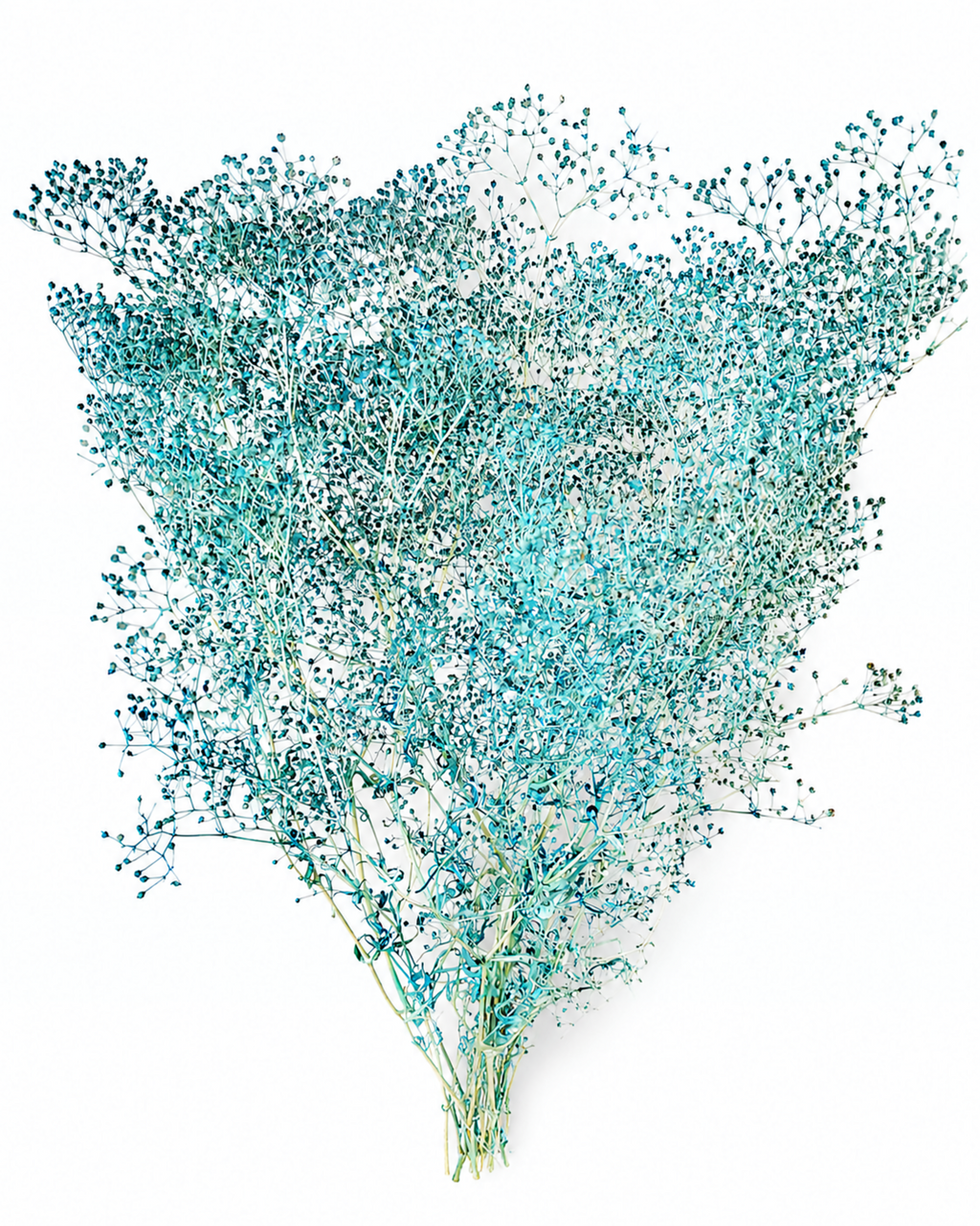 A full, fluffy cloud-like bunch of premium preserved Turquoise Blue Gypsophila stems (Baby's Breath) showing delicate tiny blossoms.
