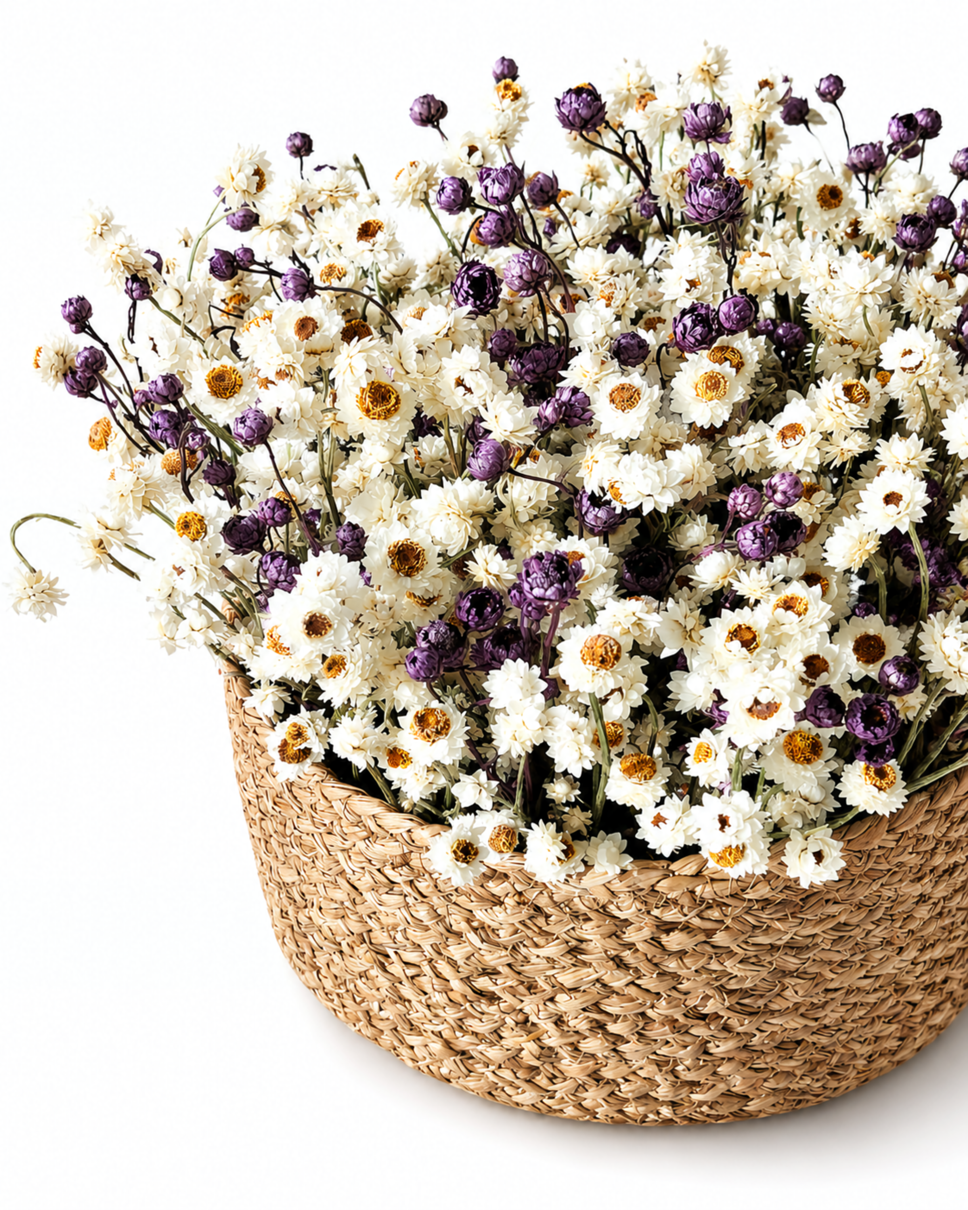 Ammobium & Lavender Basket