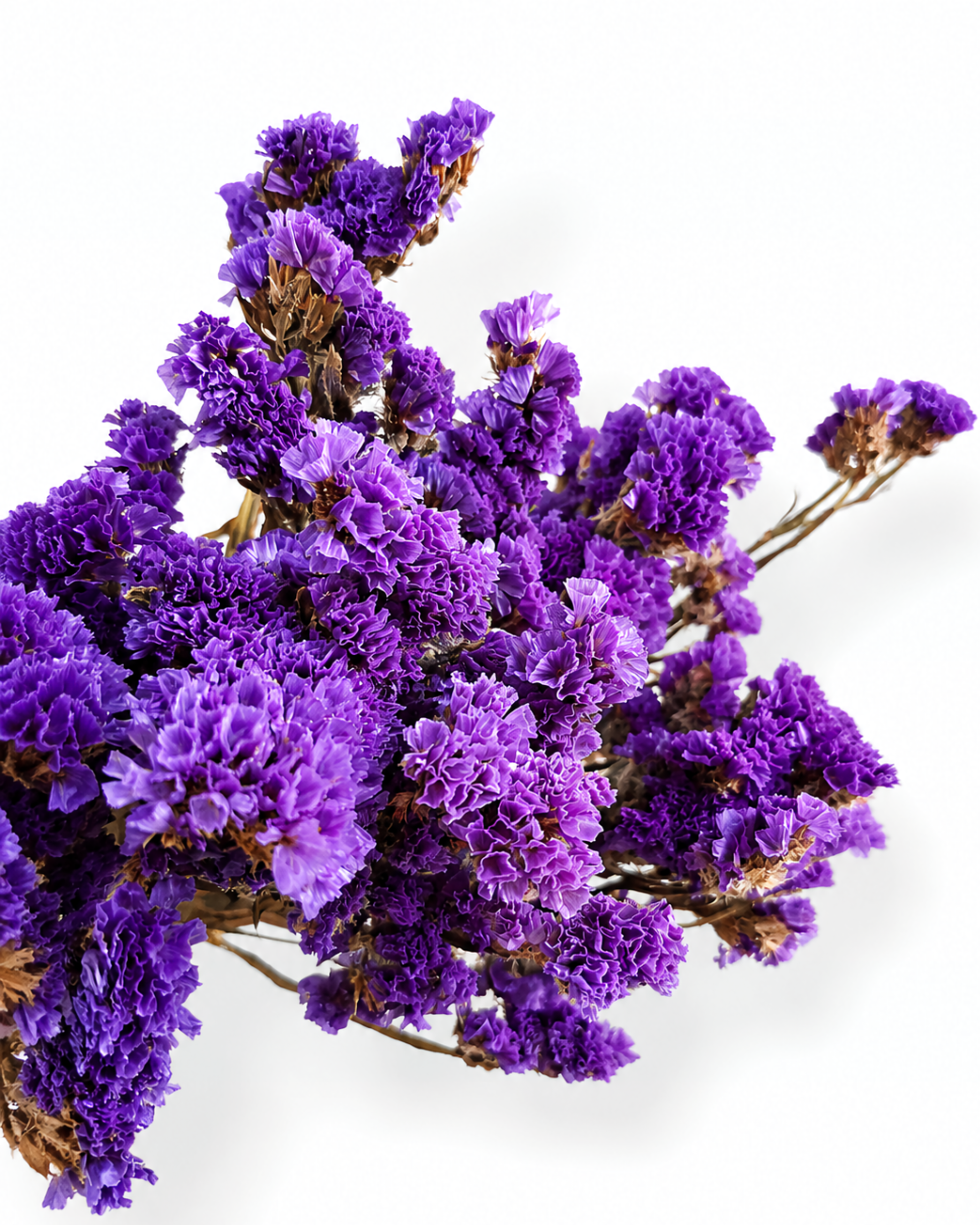 Naturally air-dried deep purple Statice flower stems, 45-50cm height, 100g wholesale bundle on a clean white background.
