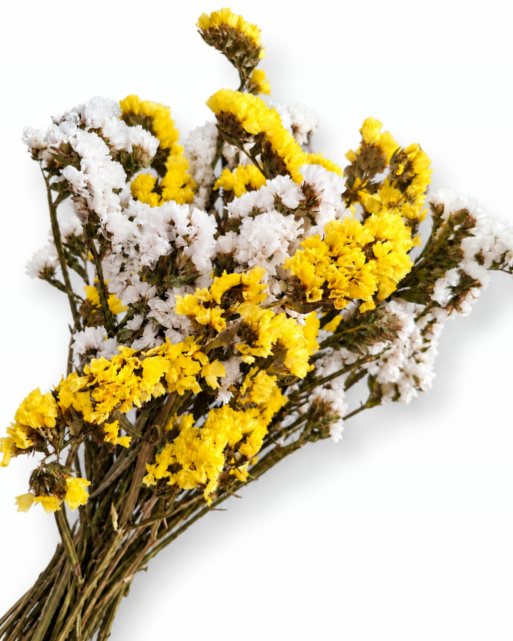 Side view of a 100-gram dried Statice bouquet featuring yellow and white clustered blooms.
