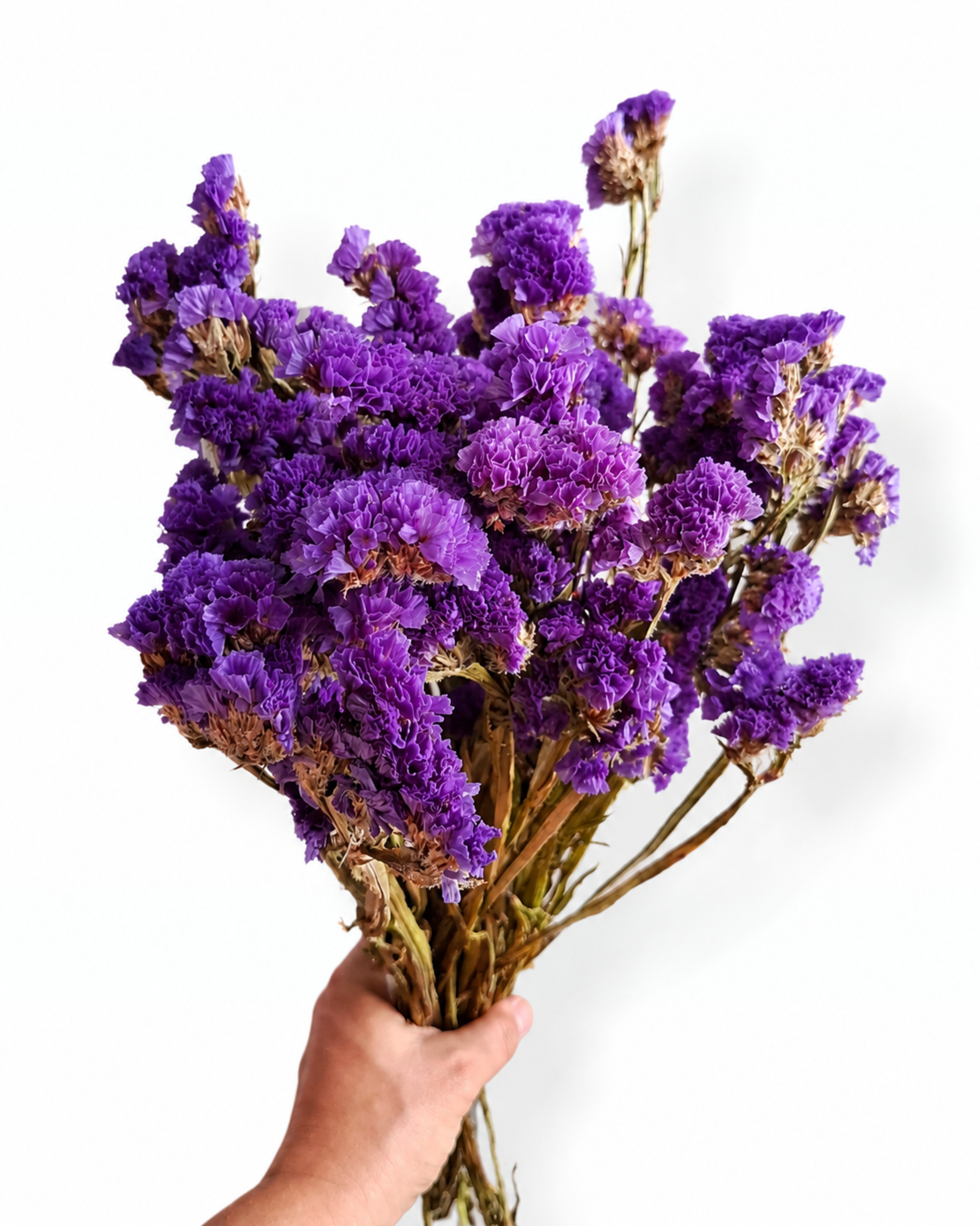 Deep Purple Statice Stems