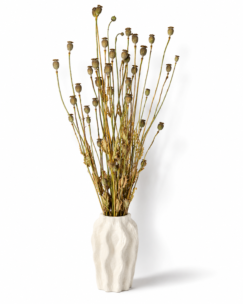Natural Dried Poppy Bouquet