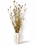 Natural Dried Poppy Bouquet
