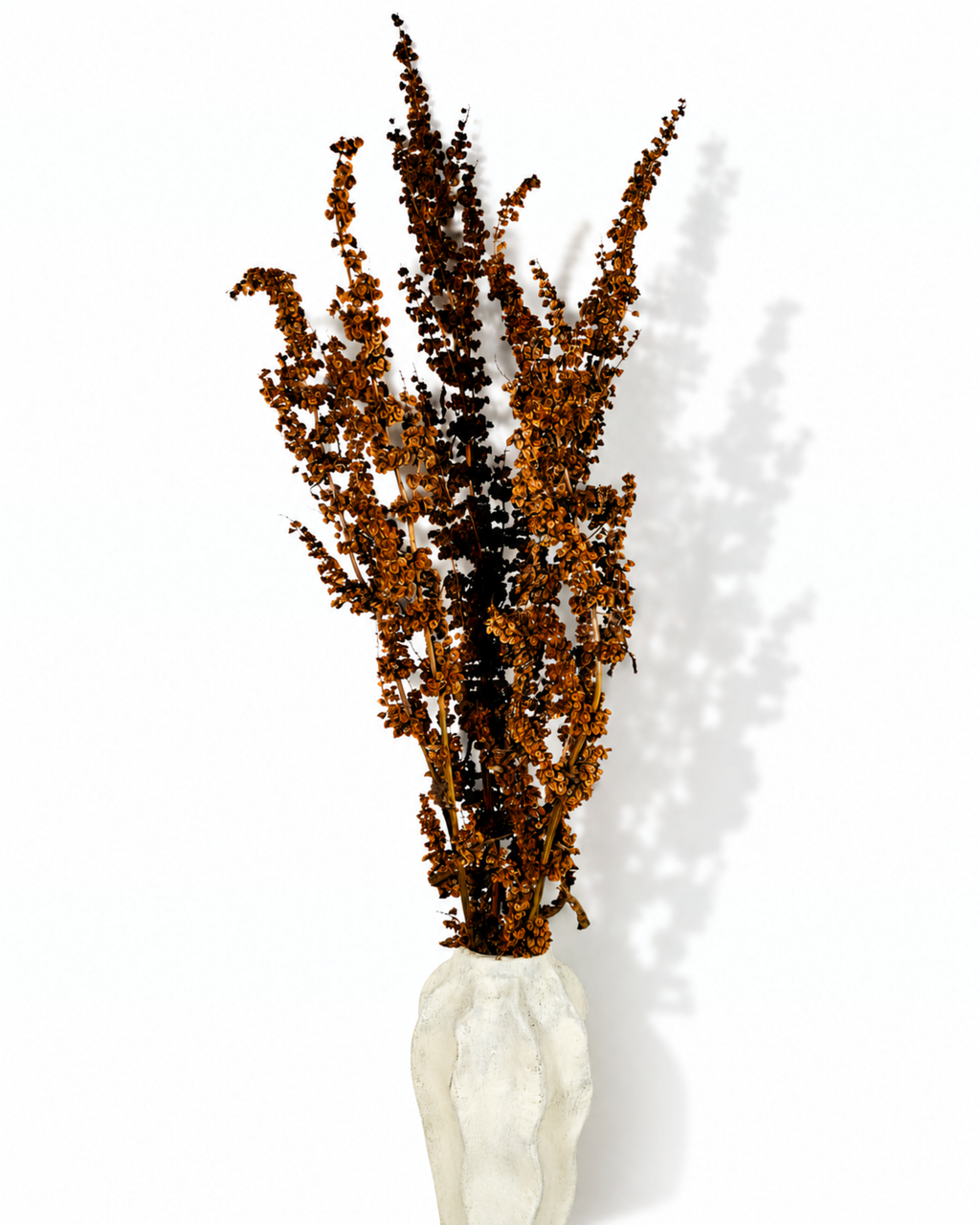 Tall dried brick brown wild dock stems styled elegantly in a textured white ceramic vase.
