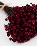 Berry Glixia dried