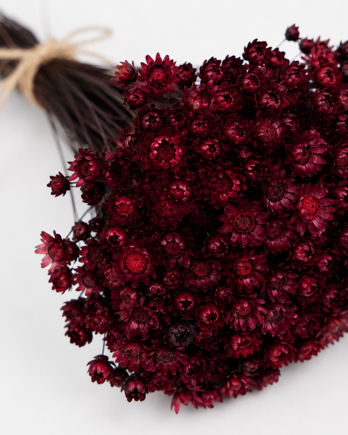Berry Glixia dried