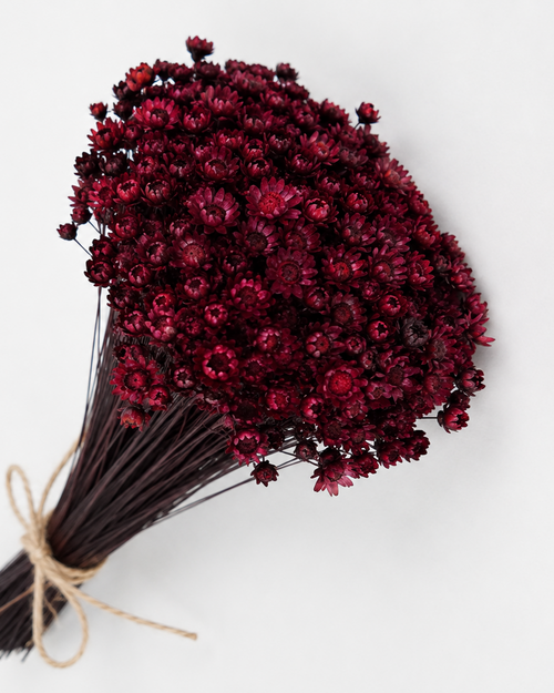 Berry Glixia dried