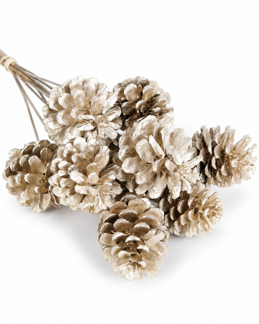Top view of pine cones on stems in metallic champagne gold finish.
