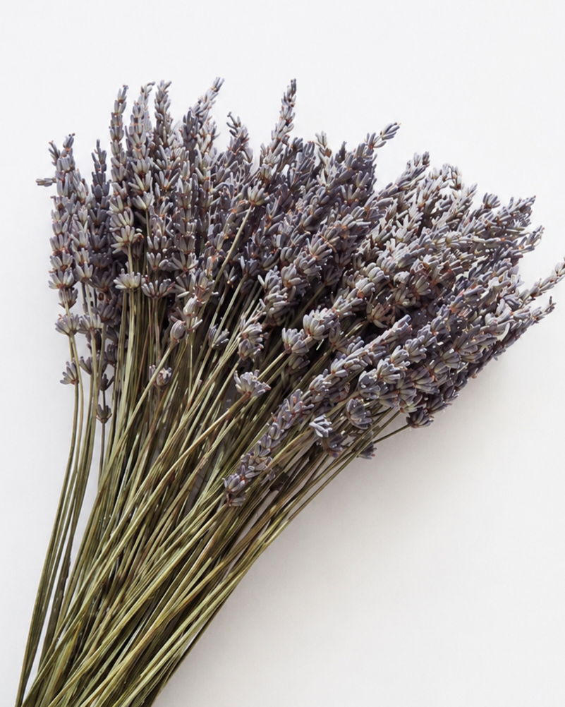 Natural Dried Lavender