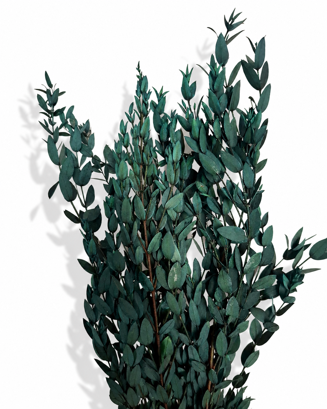 Preserved Greenery Bundle