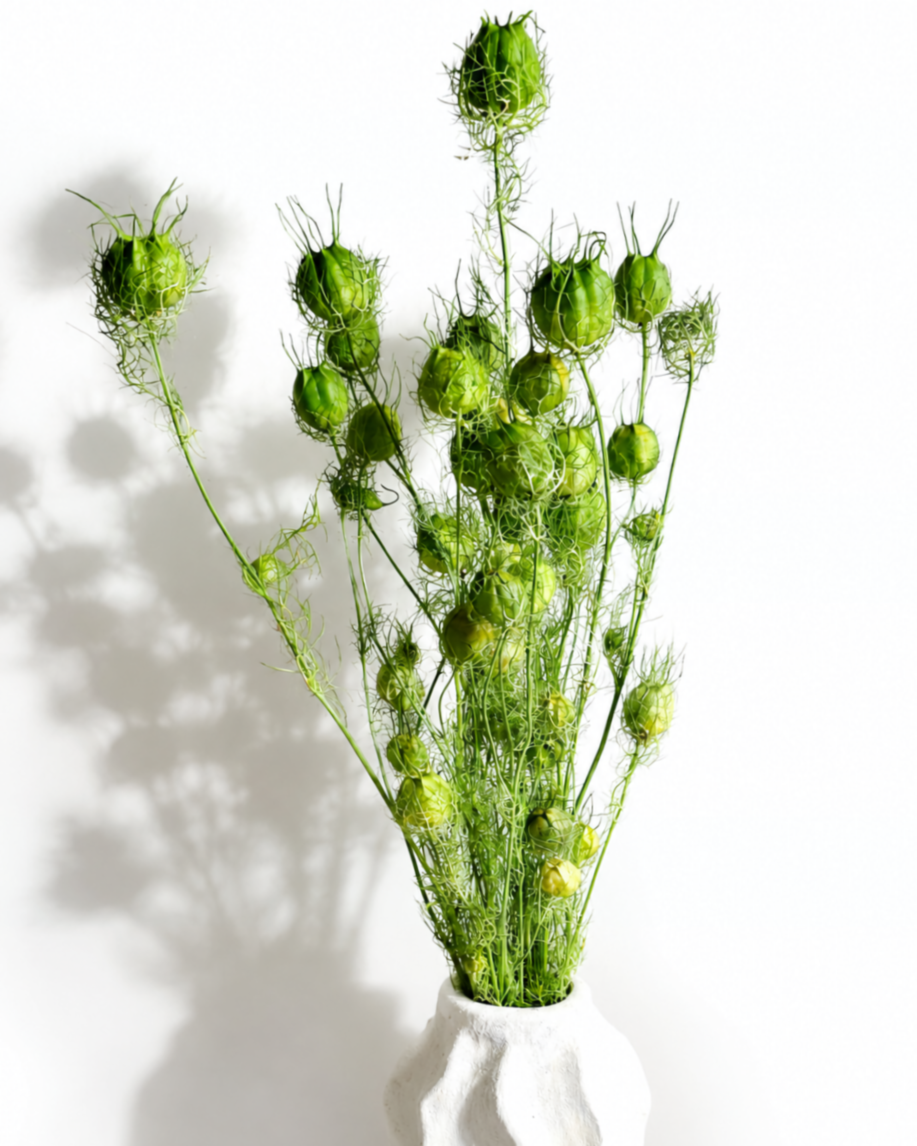 Hand holding a single bright green dried Nigella pod to showcase size and fine texture.

