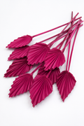 Dried Palm spear Berry