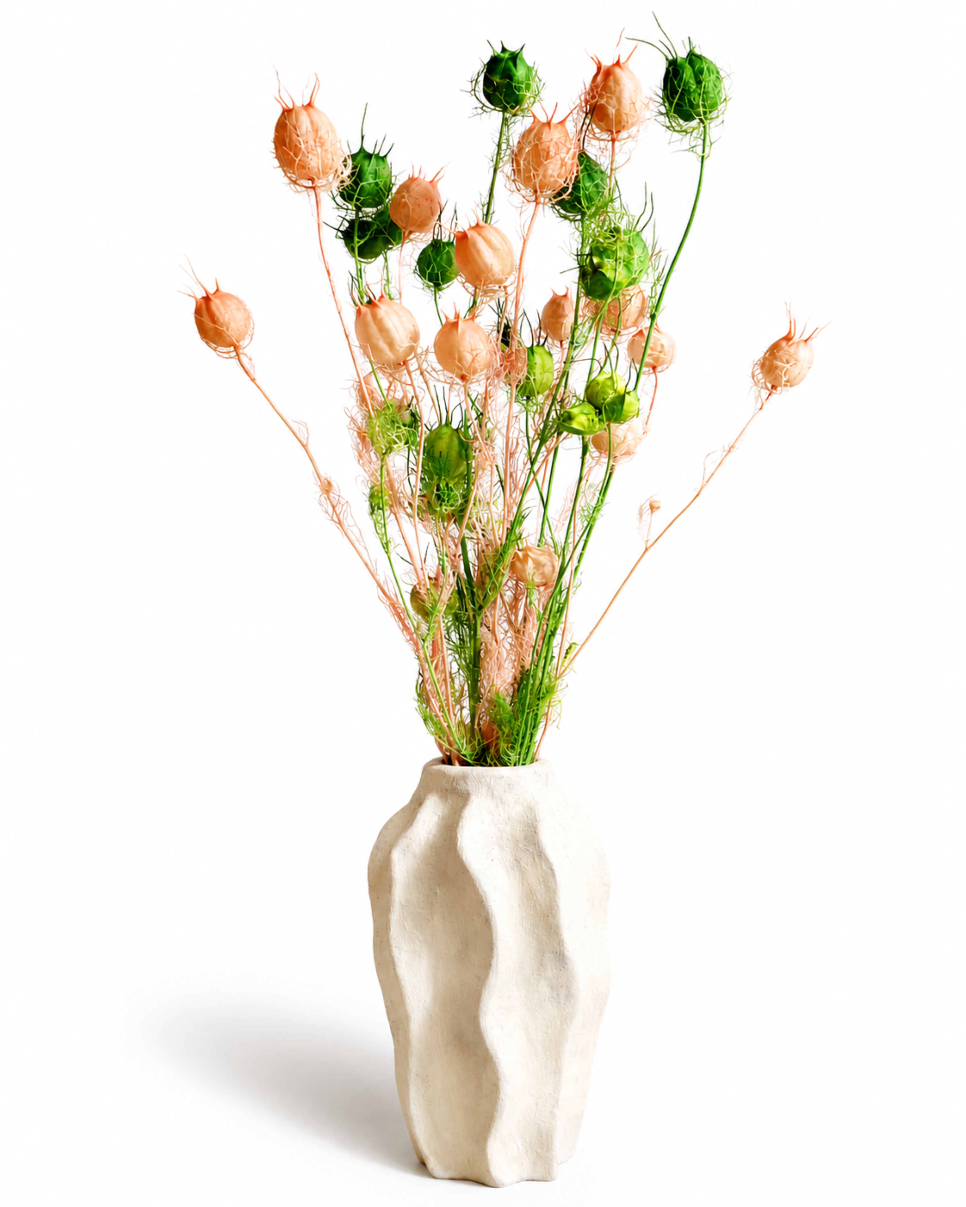 White Pink Nigella Pods