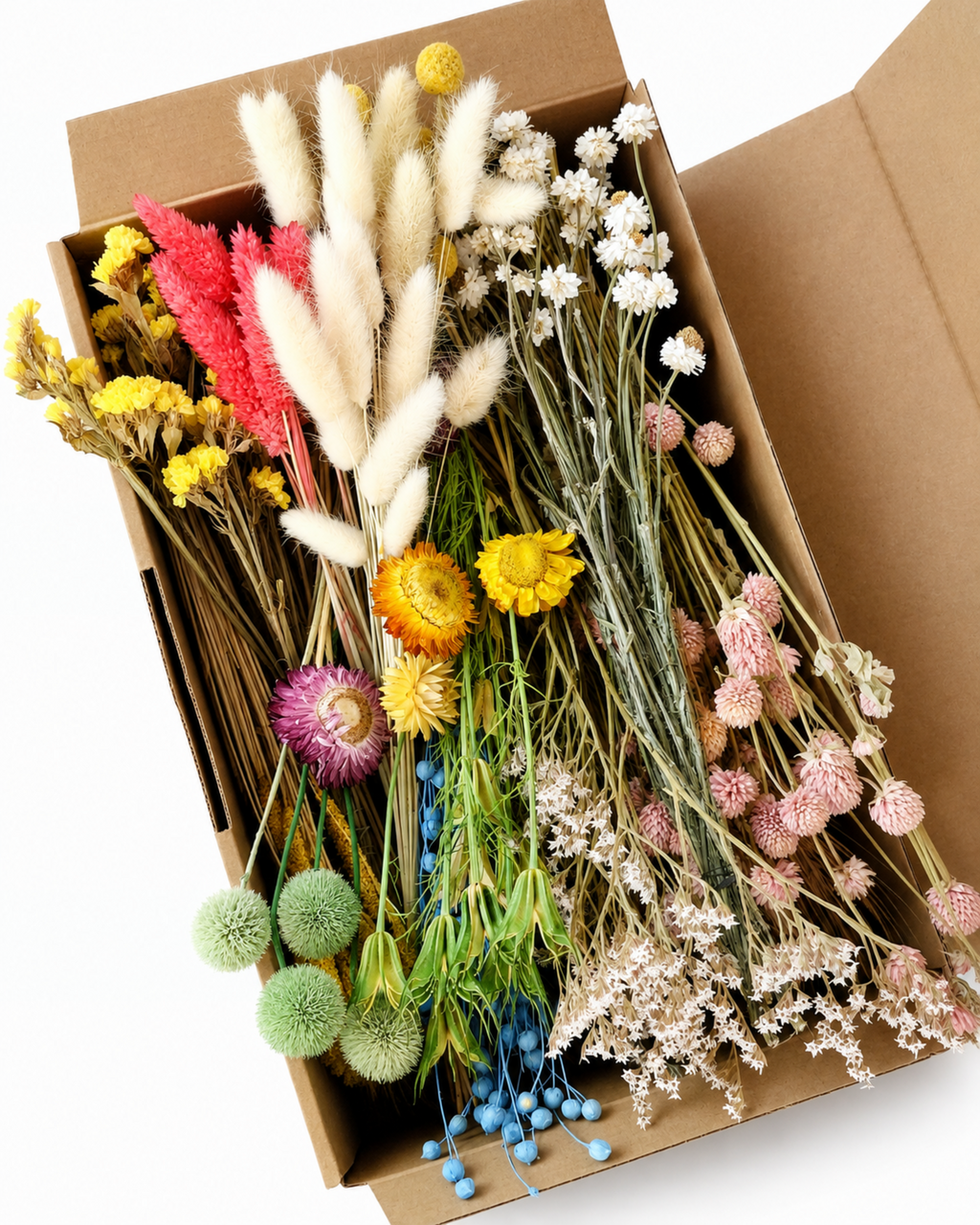 Colorful Dried Flower Box for Crafts