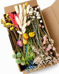 Colorful Dried Flower Box for Crafts