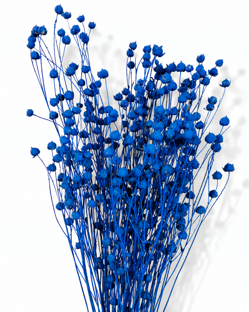 Electric Blue Flax Stems