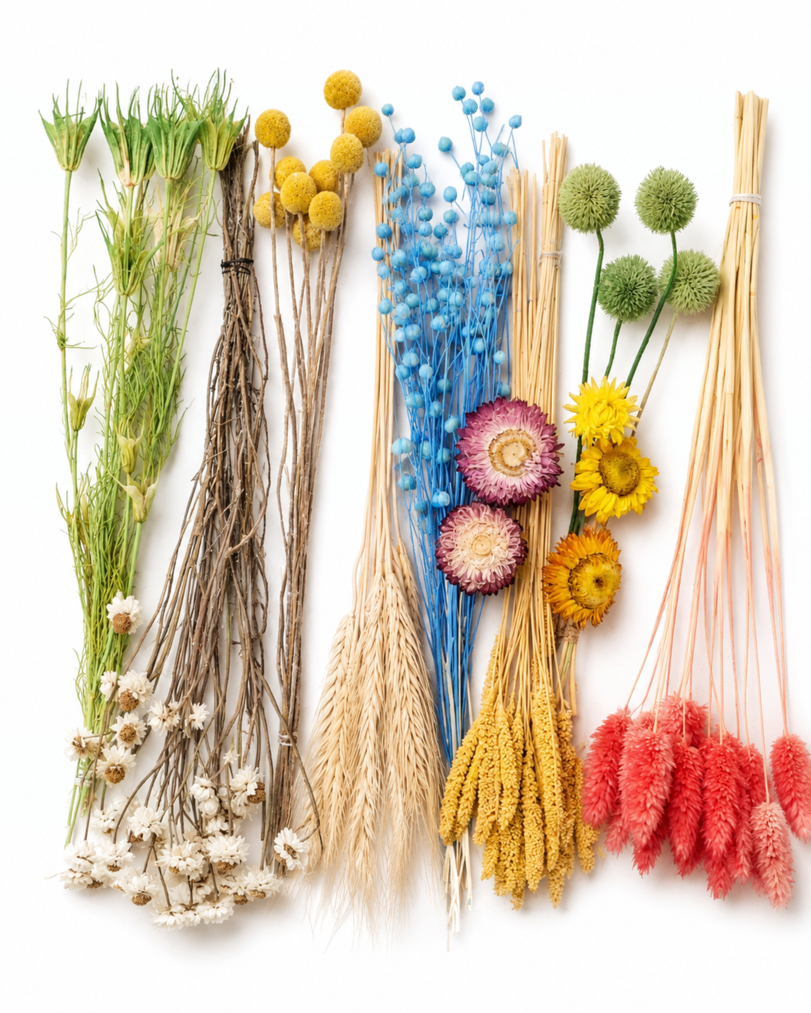 Colorful Dried Flower Box for Crafts