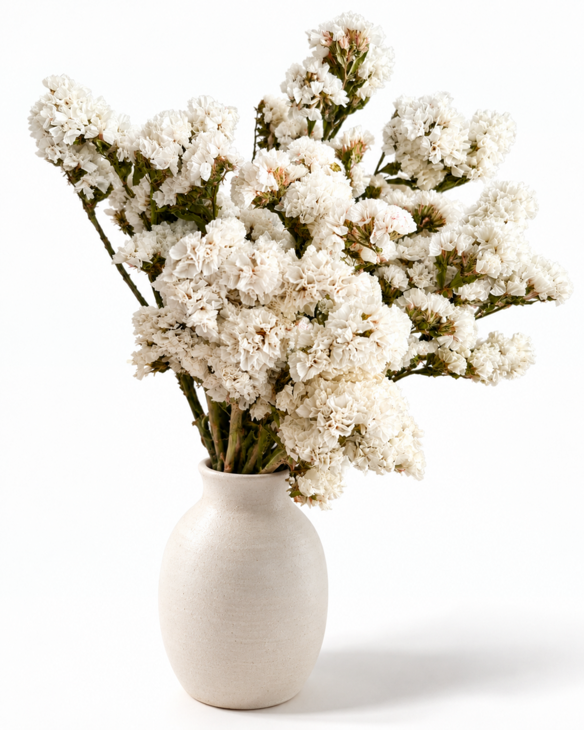 Dried White Statice Bunch 100g (45-50cm) - Limonium Floral Stems