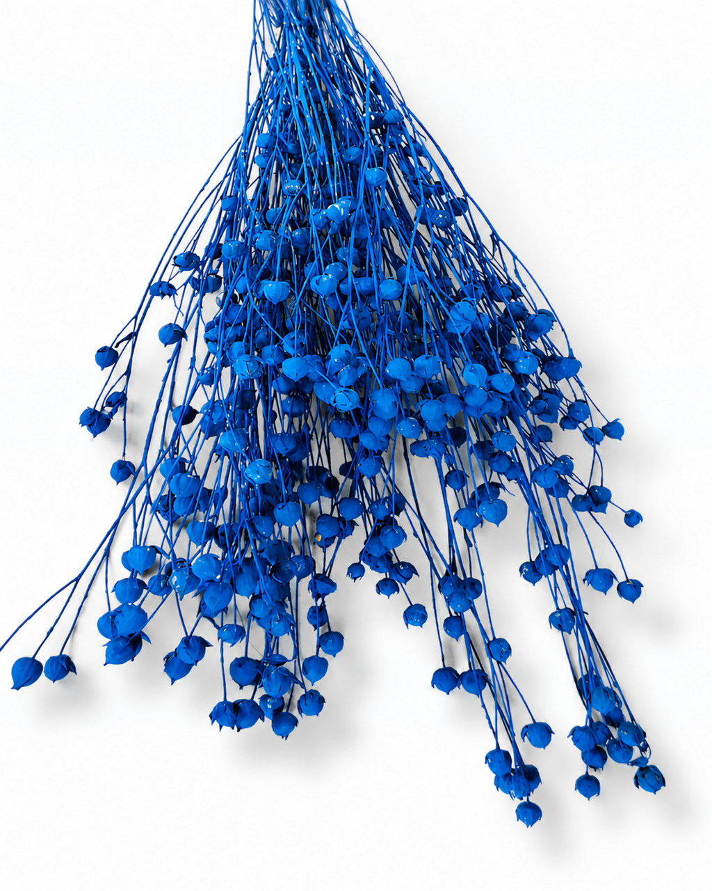 Electric Blue Flax Stems