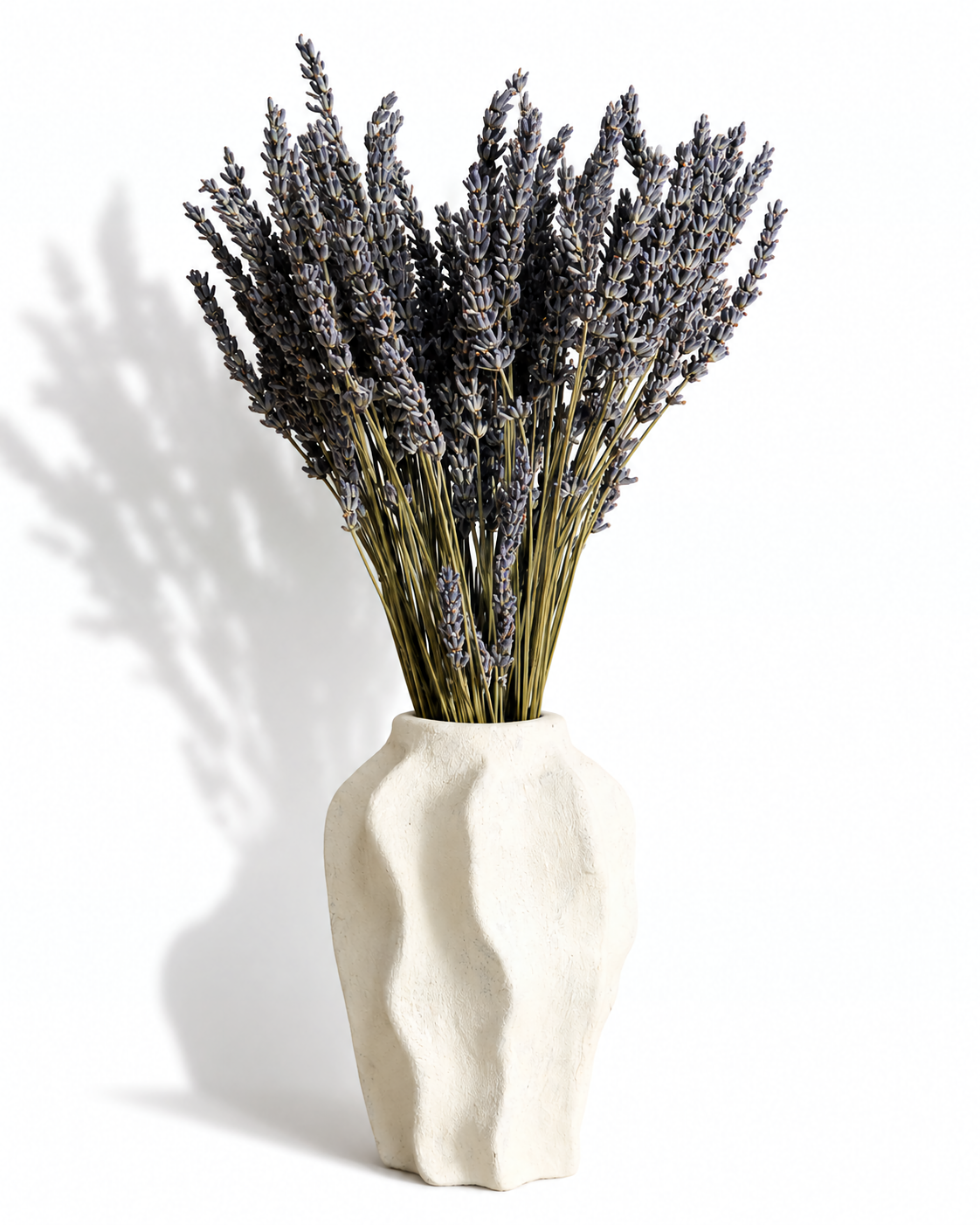 Full length arrangement of 100 dried lavender stems styled in a textured cream ceramic vase.
