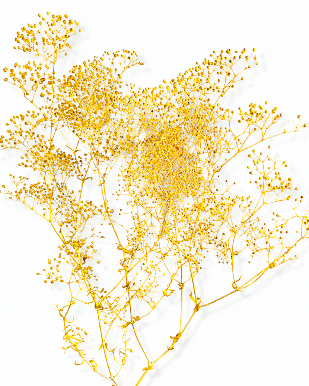 A close-up view of premium stabilized yellow Gypsophila flower stems, demonstrating the dense texture and delicate small blossoms.
