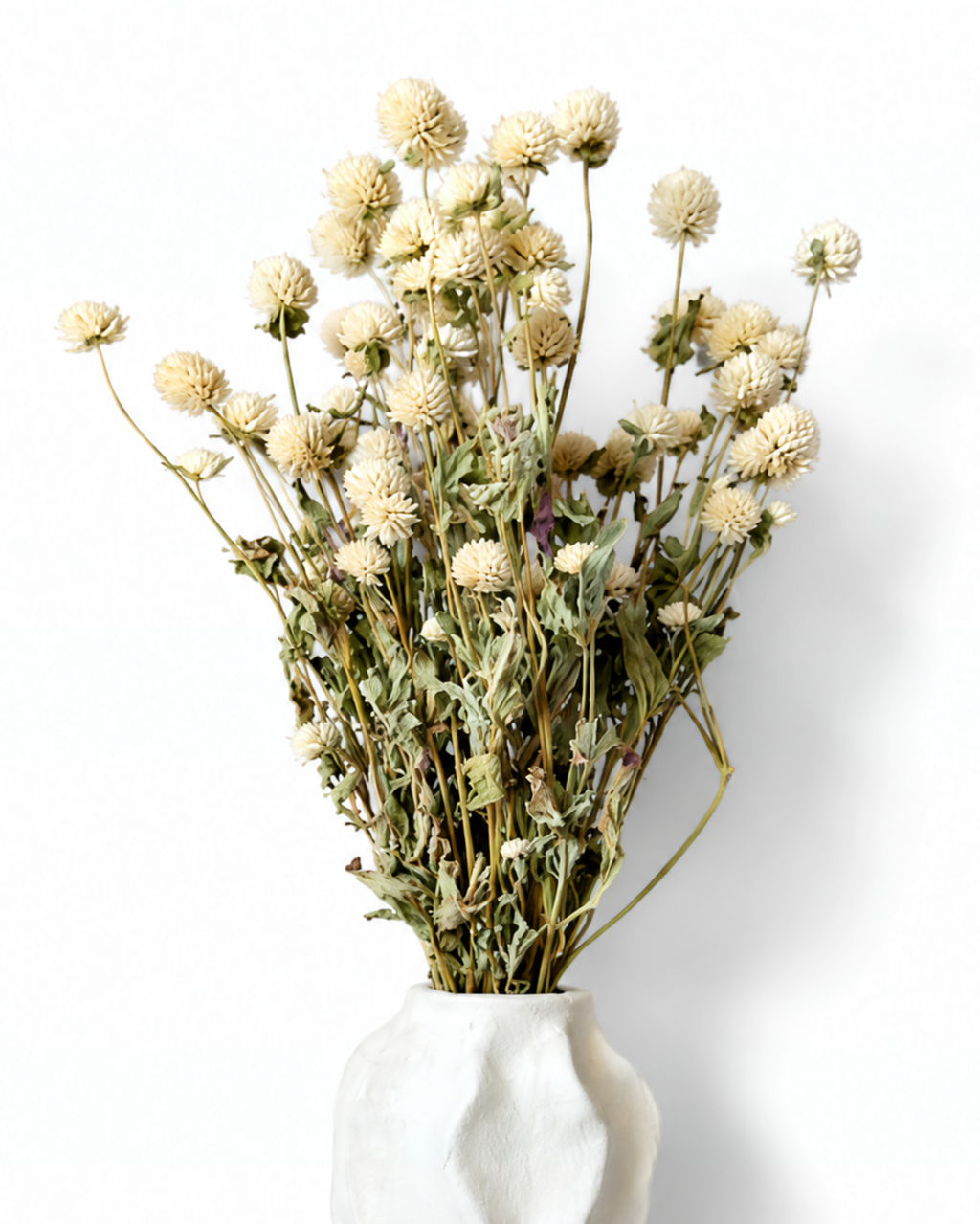 Ivory Gomphrena Bouquet
