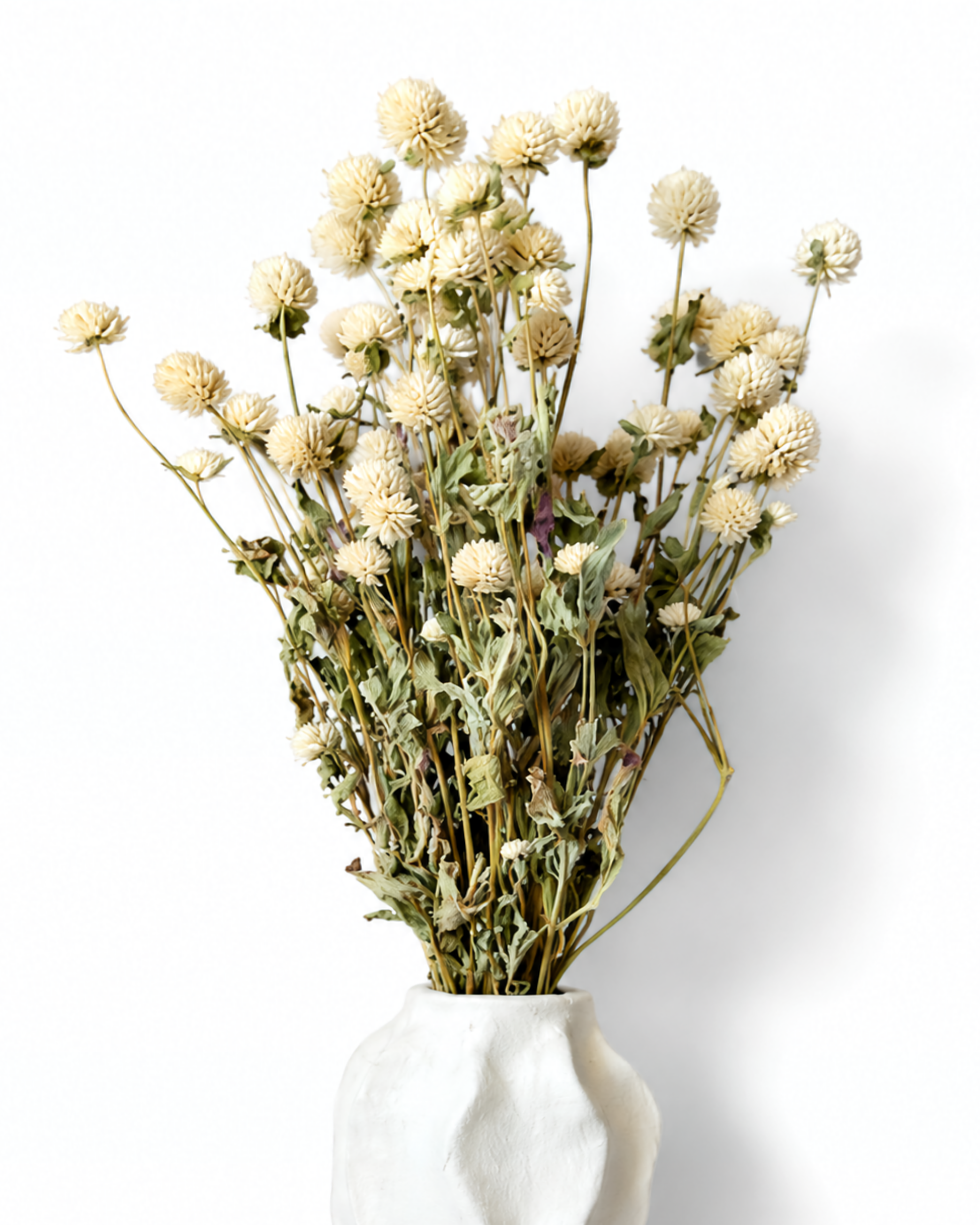 Ivory Gomphrena Bouquet