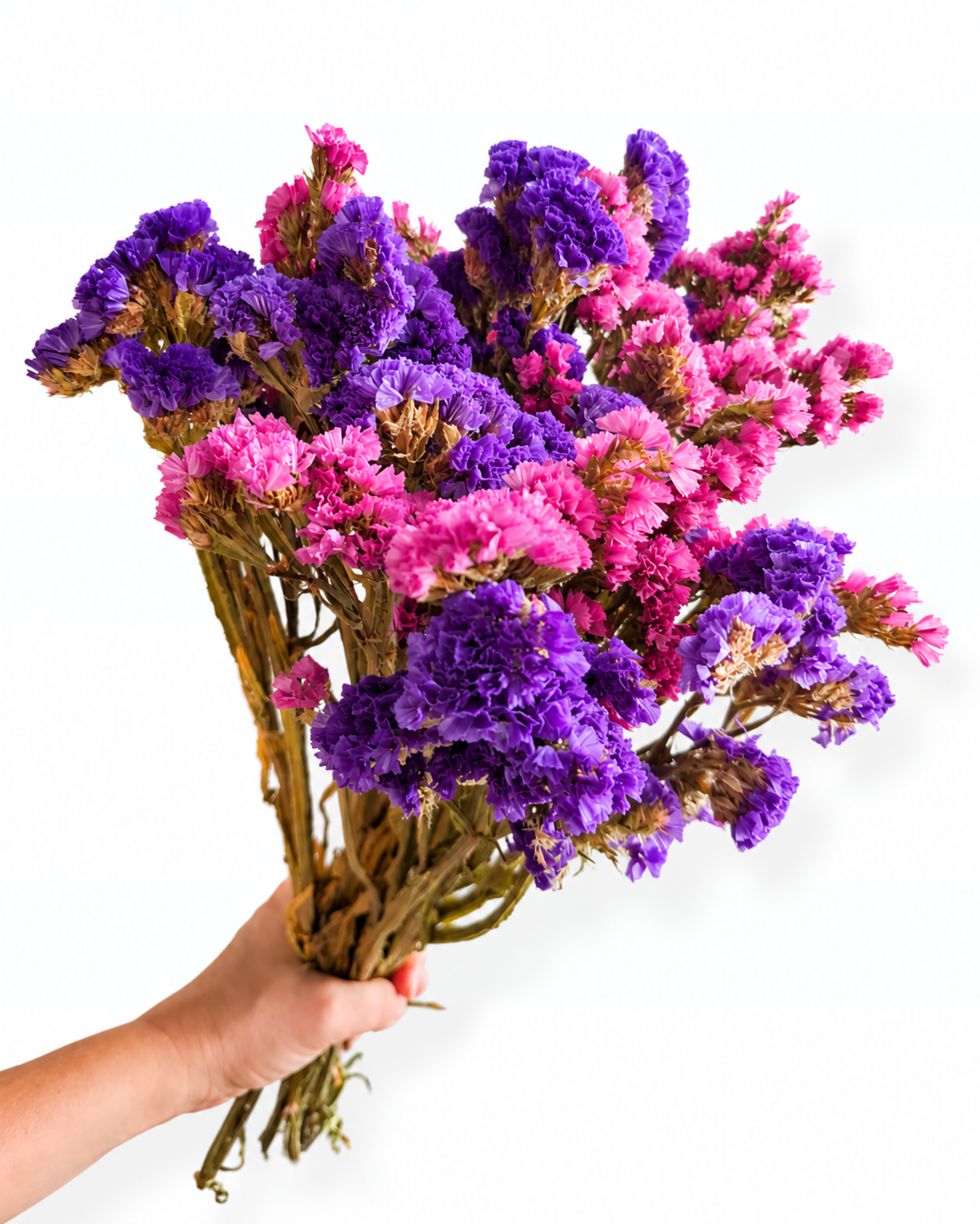Premium dried purple and pink statice mixed bunch 100g for professional florist decor