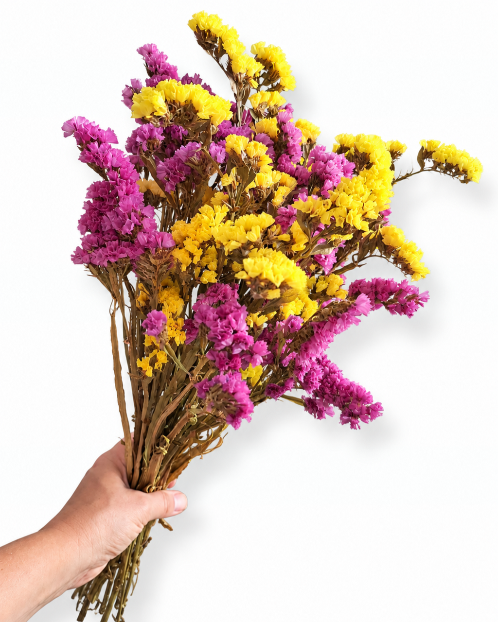 Dried Statice Bunch 100g - Yellow Pink Limonium Botanicals
