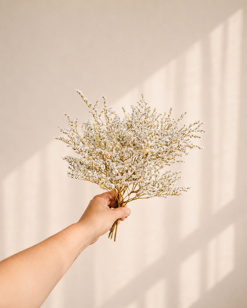 Tatar Limonium Stems