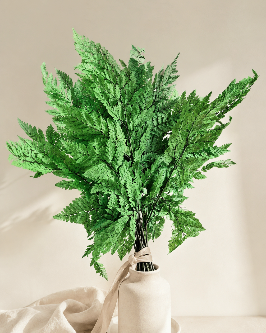 Dried Leatherleaf Fern