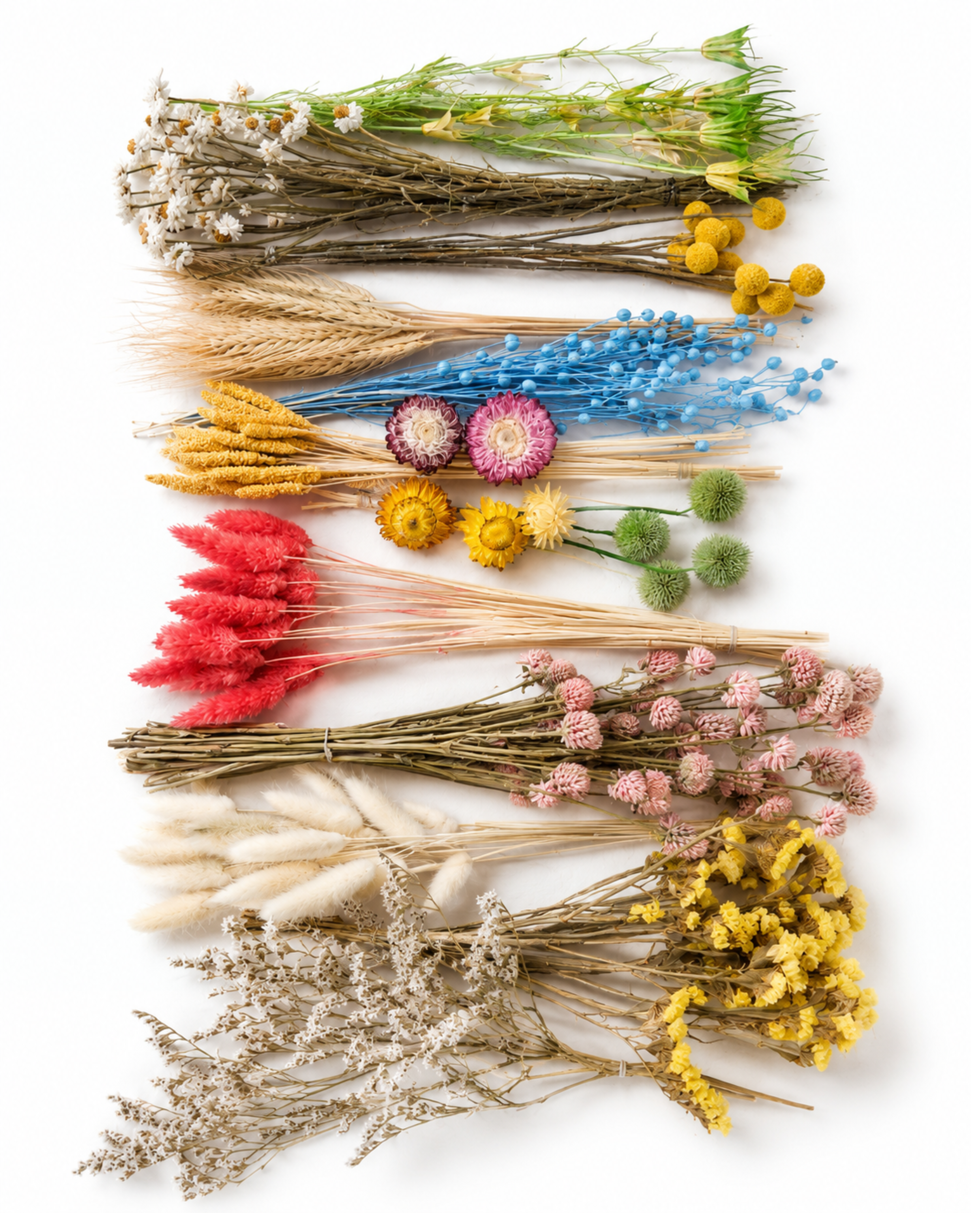 Colorful Dried Flower Box for Crafts