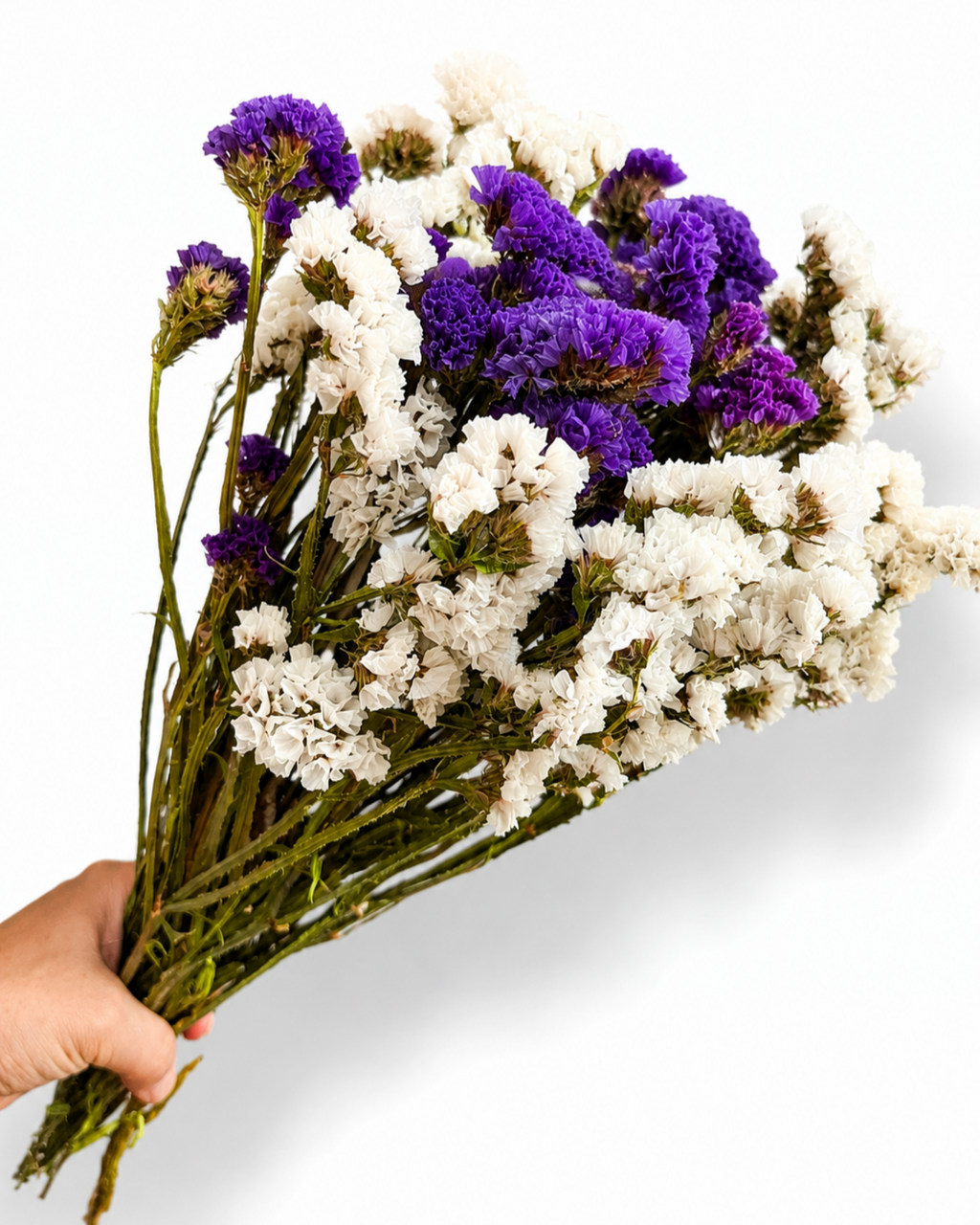 Natural everlasting bouquet filler for summer wreaths and creative botanical crafts Europe