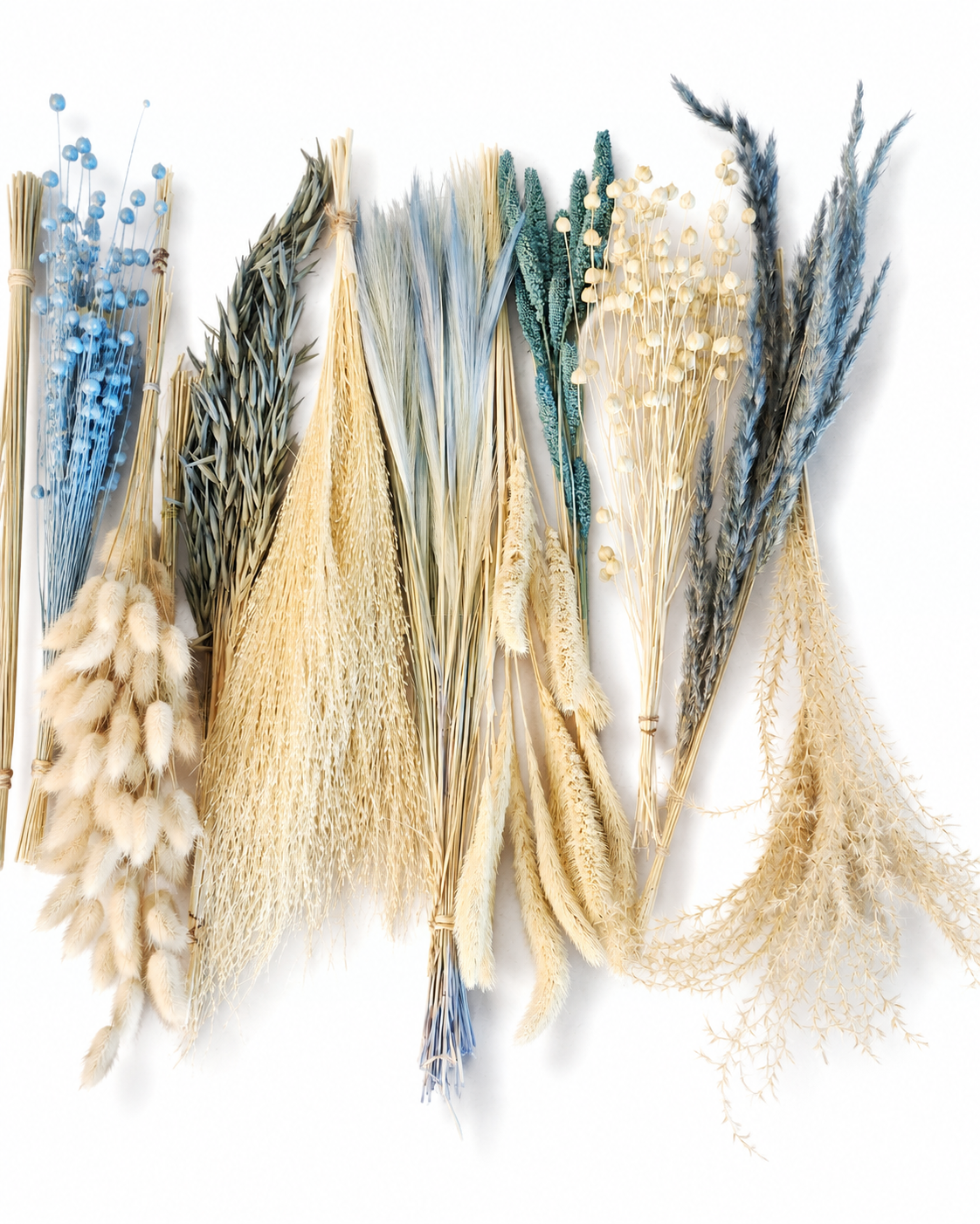 Beige & Blue Dried Flower Box for Crafts