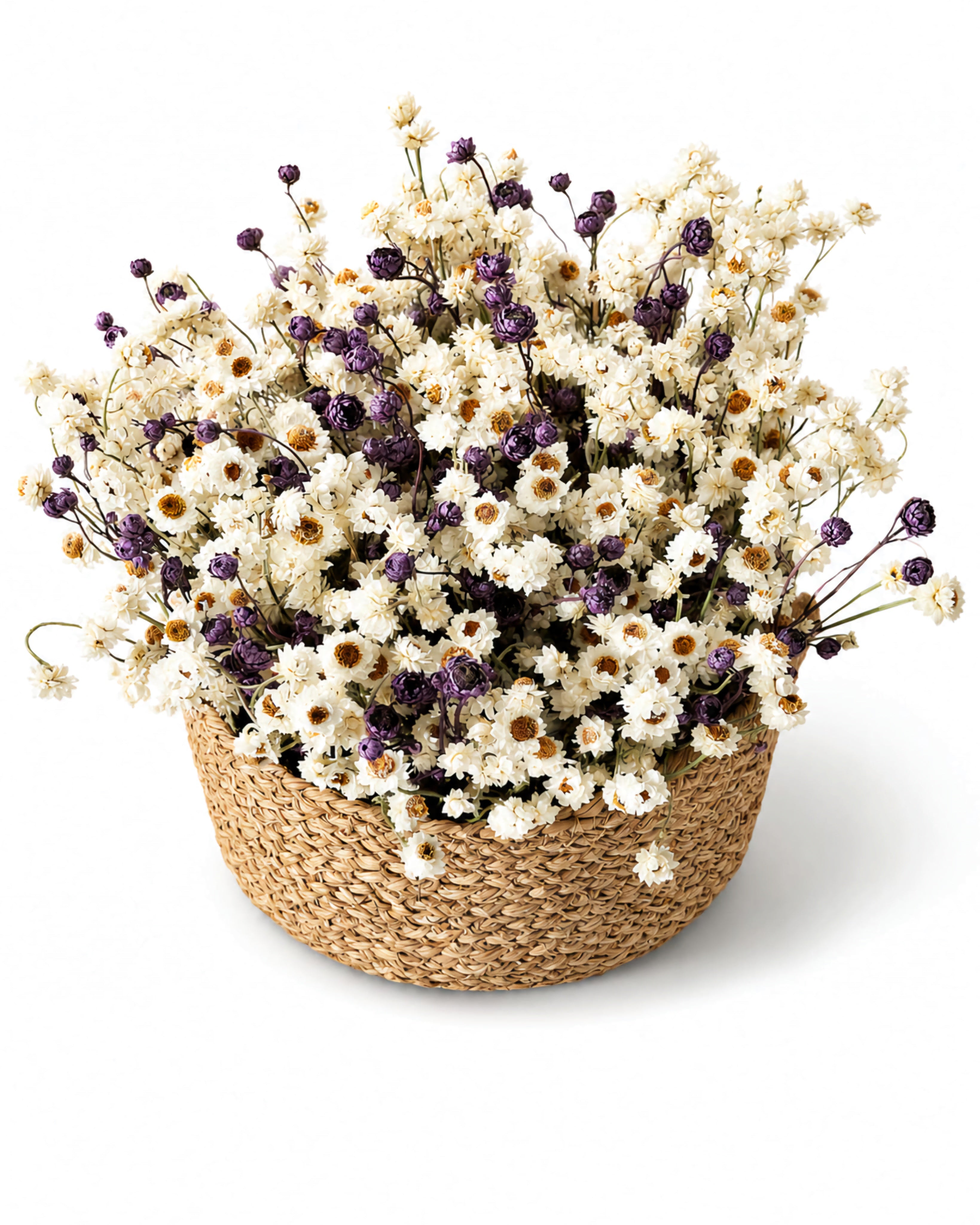 Handmade woven basket arrangement with preserved white and purple ammobium isolated on white background.
