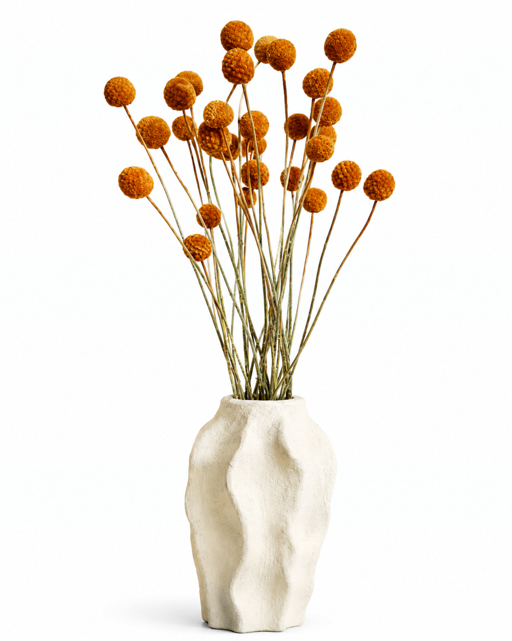 Arrangement of light brown dried Craspedia Billy Buttons styled in a white ceramic vase.

