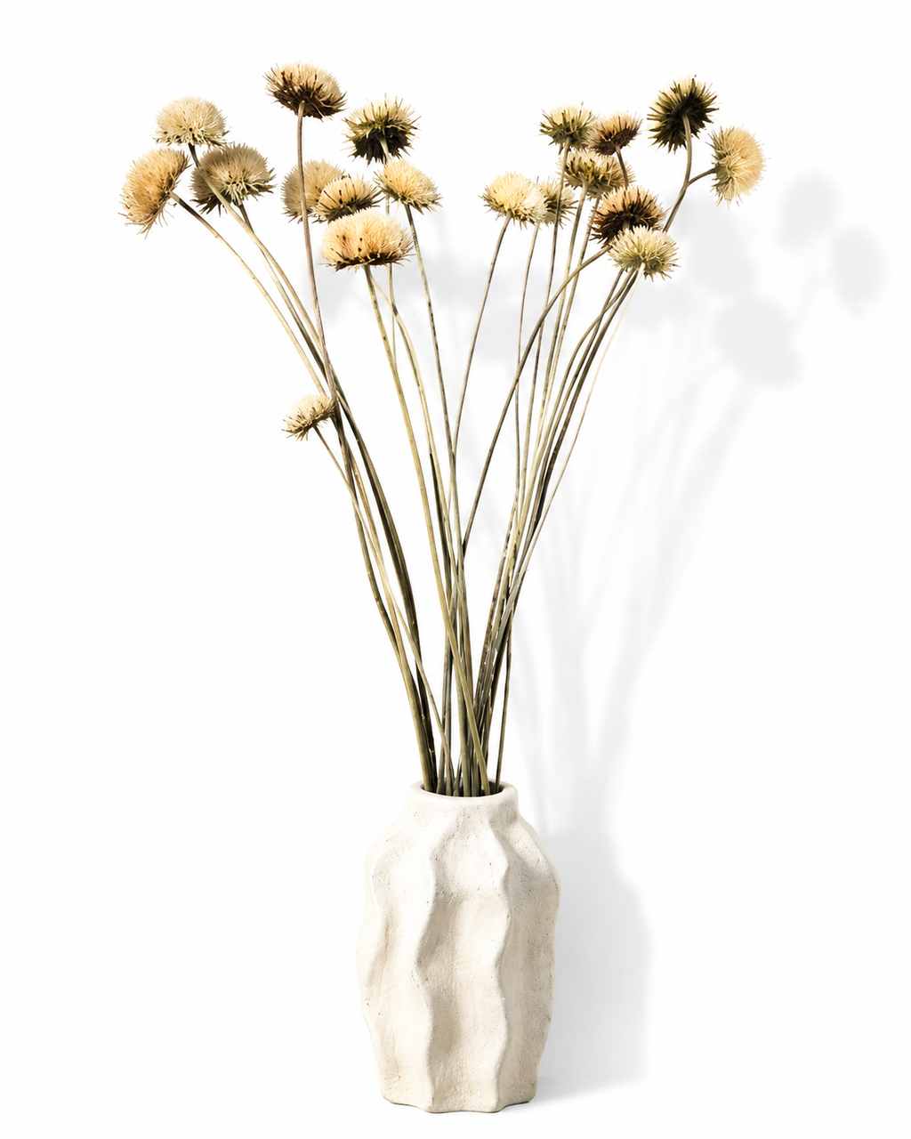 Full view of a 60cm neutral dried Eryngium bouquet displayed in a white ceramic vase.
