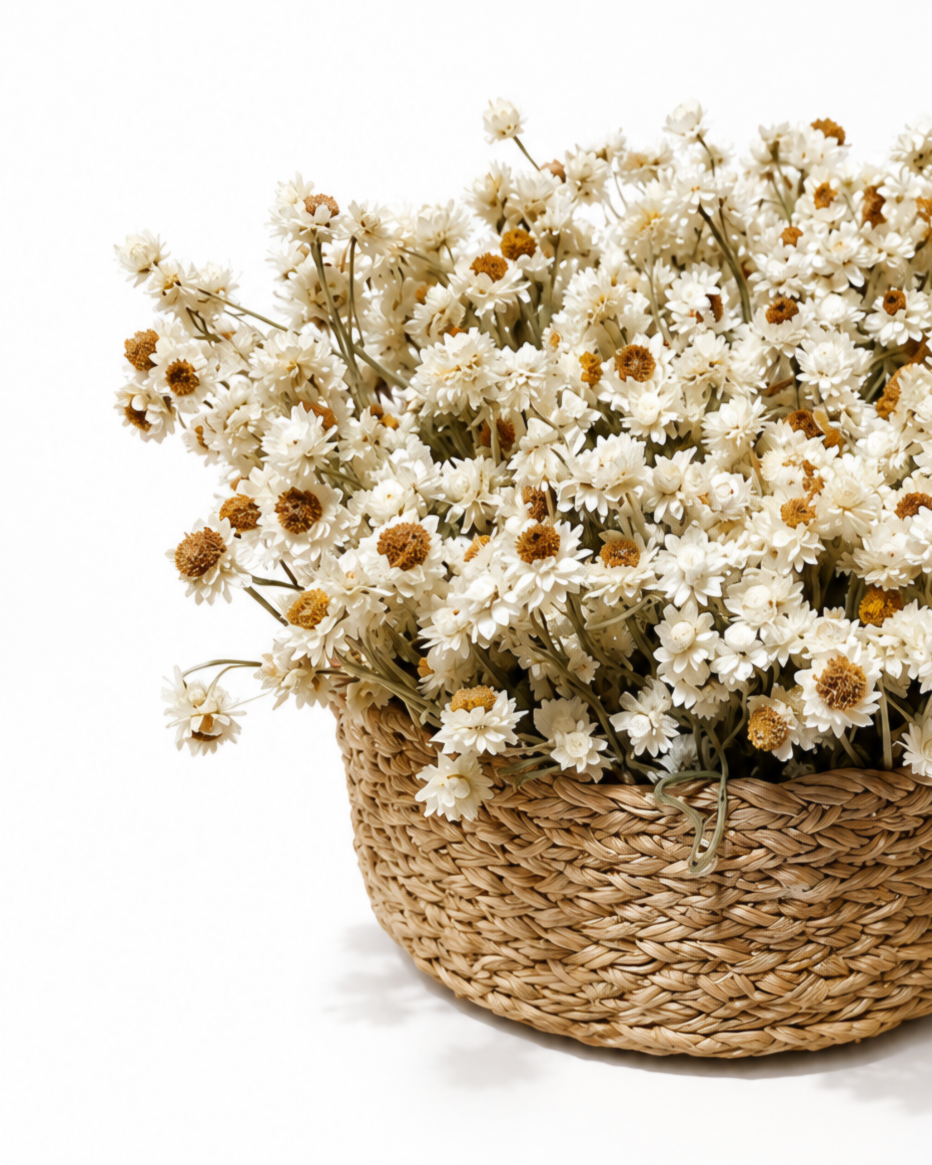 Side view close-up of preserved white ammobium blooms filling a thick woven seagrass basket.

