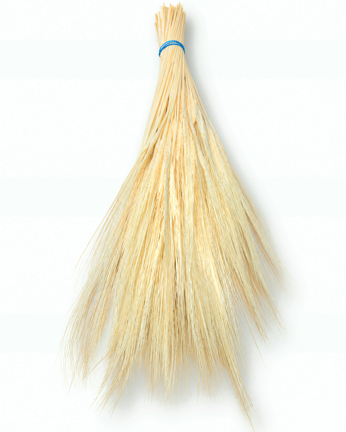 Dried Cream Bleached Barley Stems 25 Stems - Natural Wheat 50-55cm