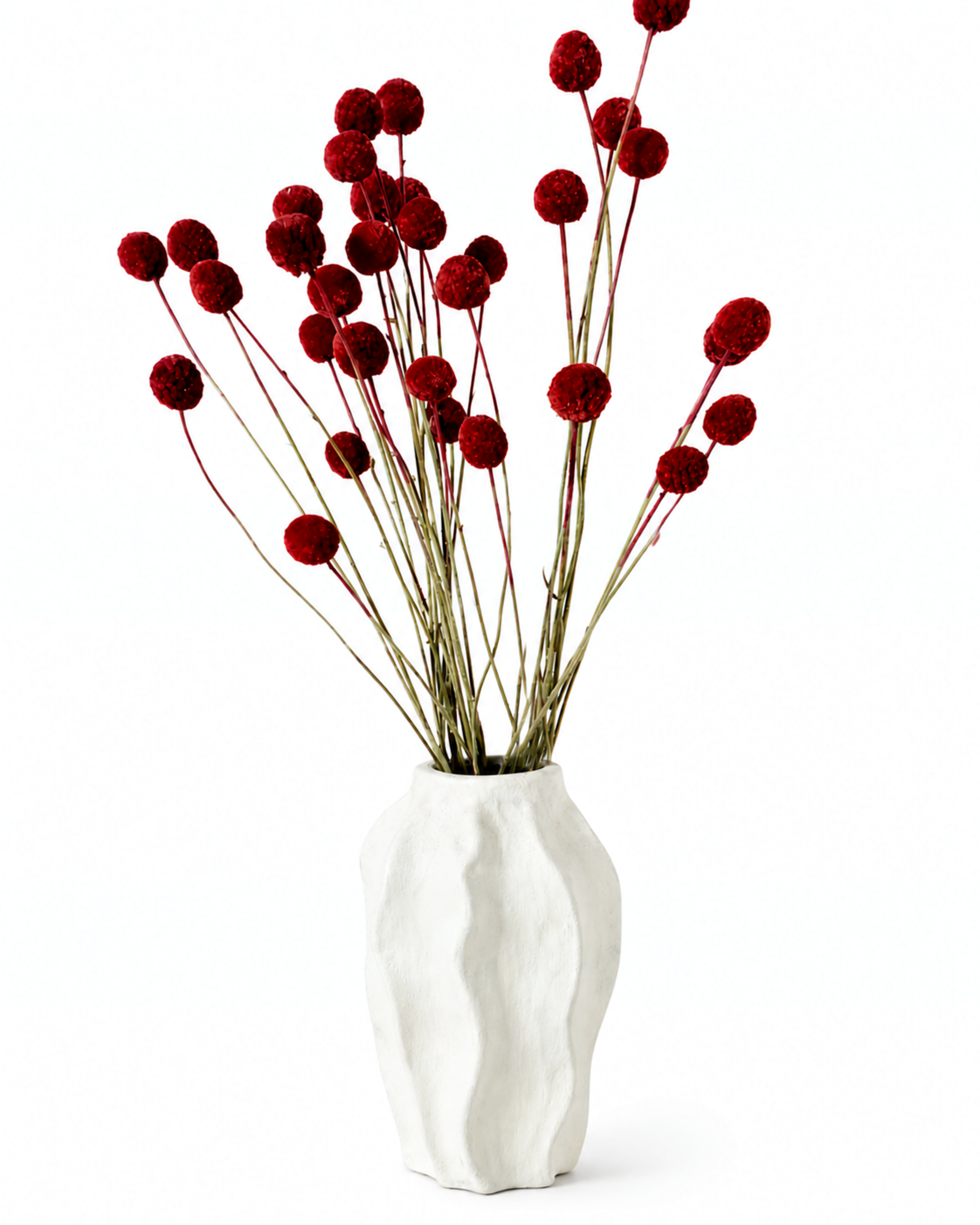 A bundle of long red craspedia stems styled upright in a ribbed white ceramic vase.
