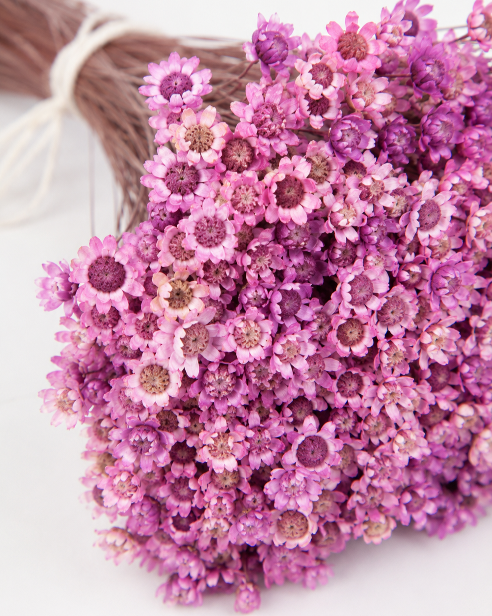 Glycine Glixia dried